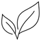 Botanical leaf icon