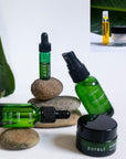 The Discovery Kit with Bonus Samples
