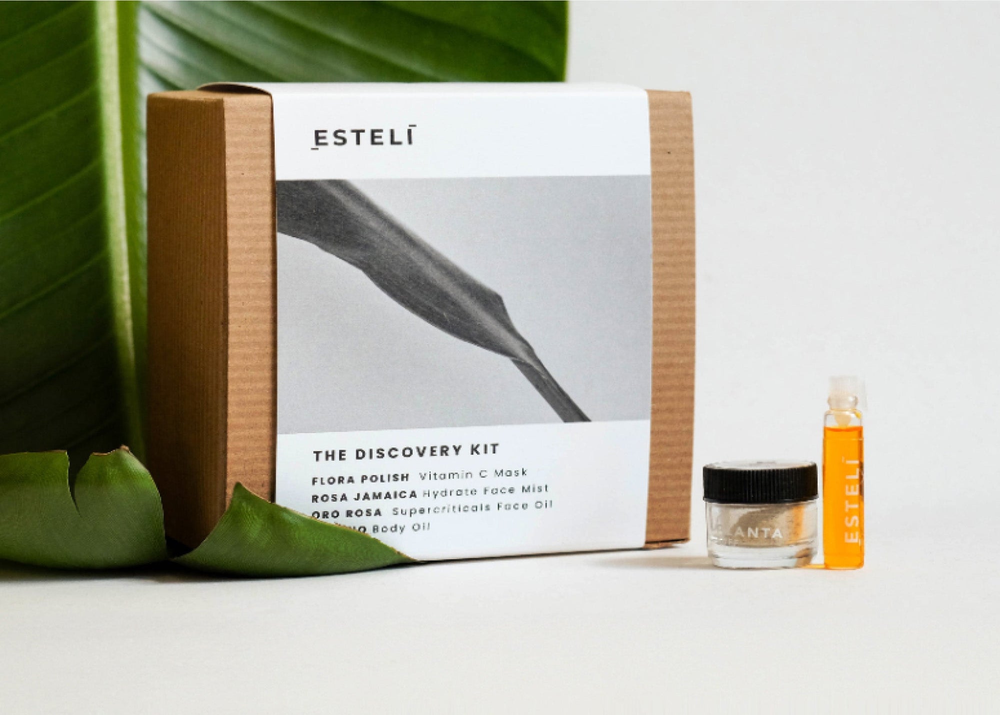Esteli The DIscovery Kit with bonus samples